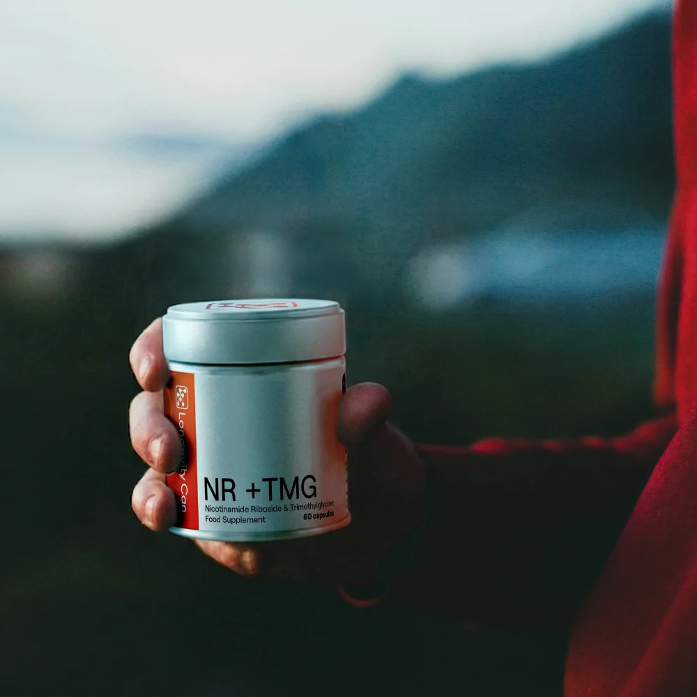 Premium supplement powders and ingredients